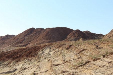 Jurassik, Shaltishkiai clay-pit