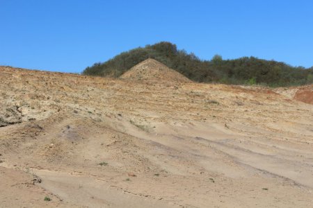 Jurassik, Shaltishkiai clay-pit
