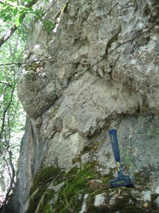 Kichkhi-Burnu, Middle Permian deposits